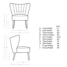 Load image into Gallery viewer, Fitz Accent Chair
