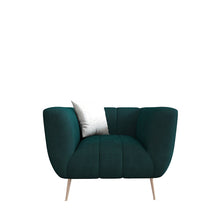 Load image into Gallery viewer, Darwin Dazzle Sofa Set In Velvet

