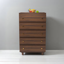 Load image into Gallery viewer, Stava Modular Drawer System | Solid Walnut/Teak/Oak Wood (5x1) | 3 Feet Length

