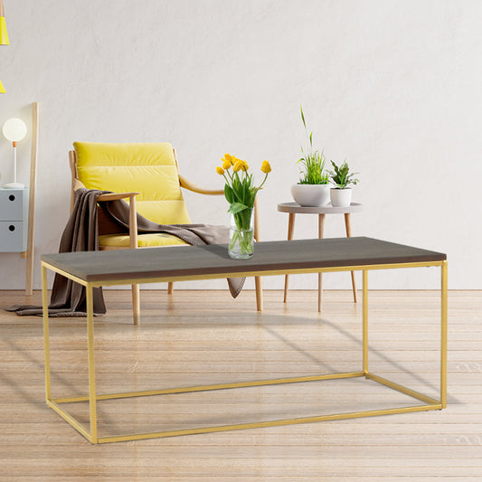 Noah Wooden Coffee Table In Gold Finish