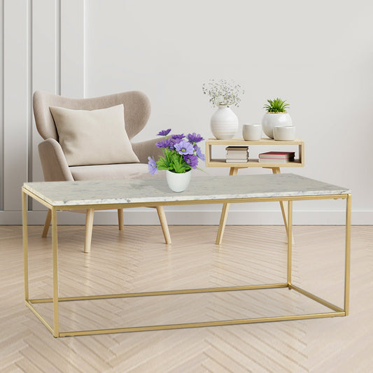 Noah Marble Coffee Table In Gold Finish