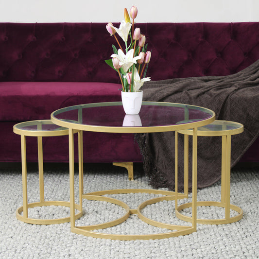 Broody Nesting Glass Coffee Table Set of 3